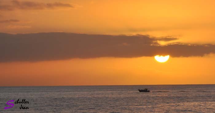 DSC_0003 copie